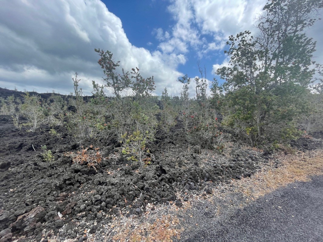 Big Island Listing Image