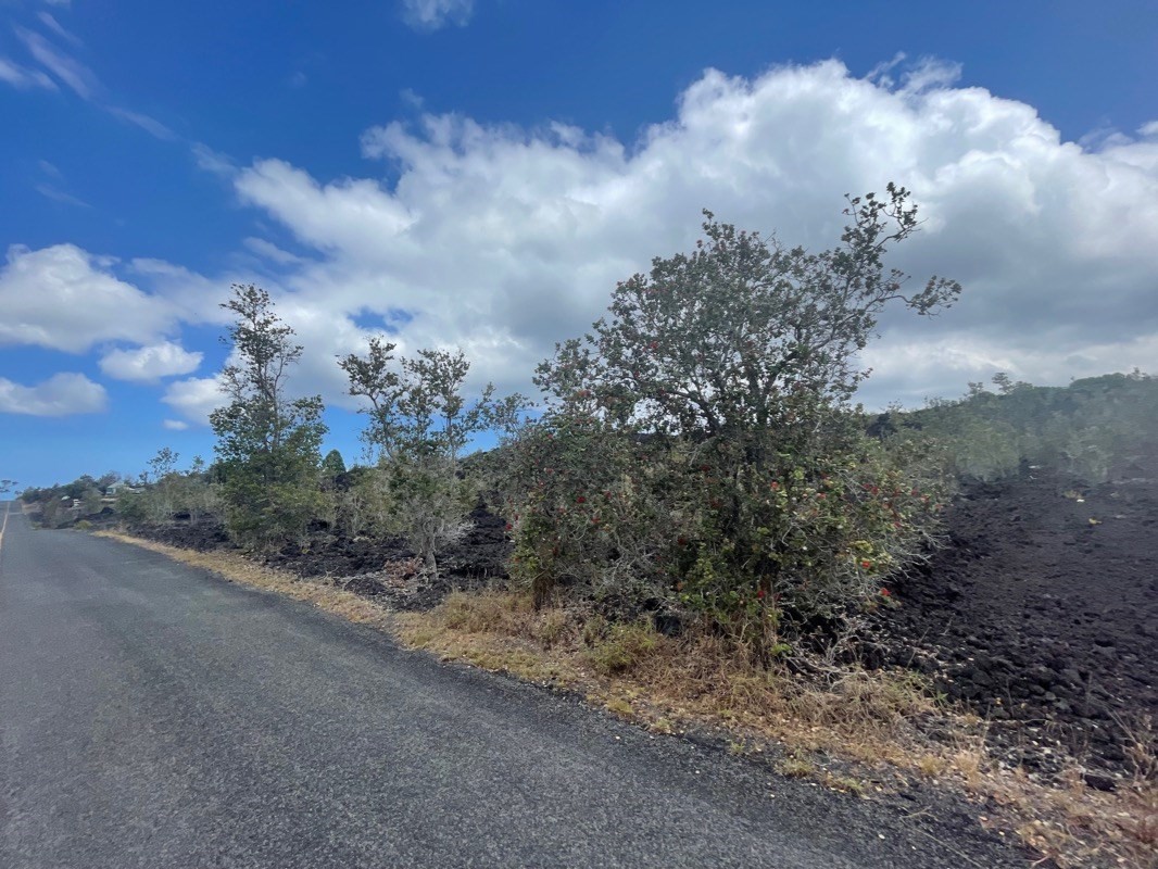 Big Island Listing Image
