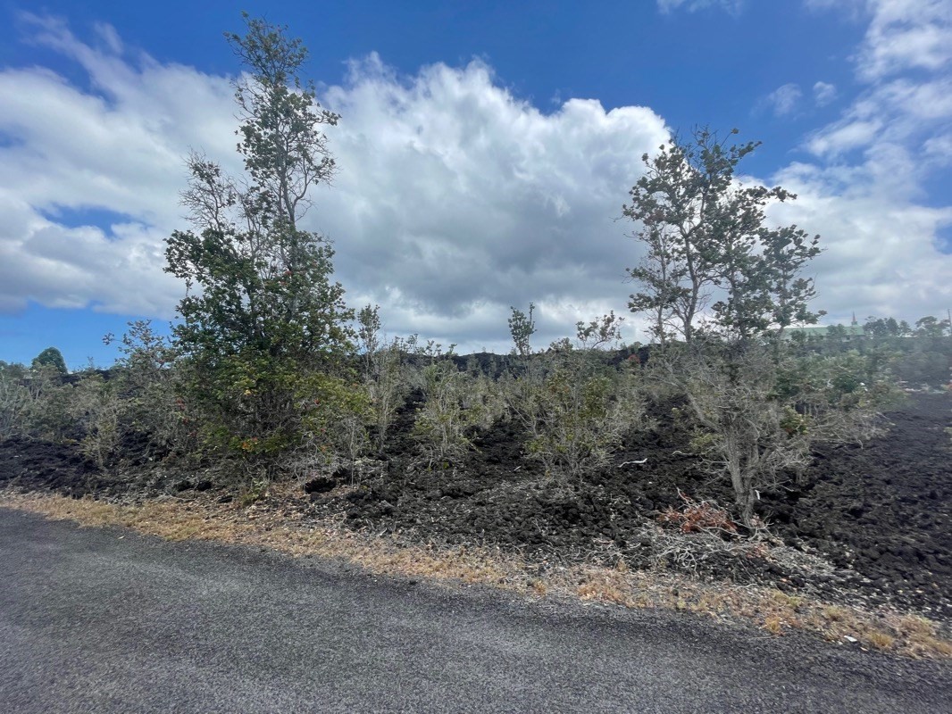 Big Island Listing Image