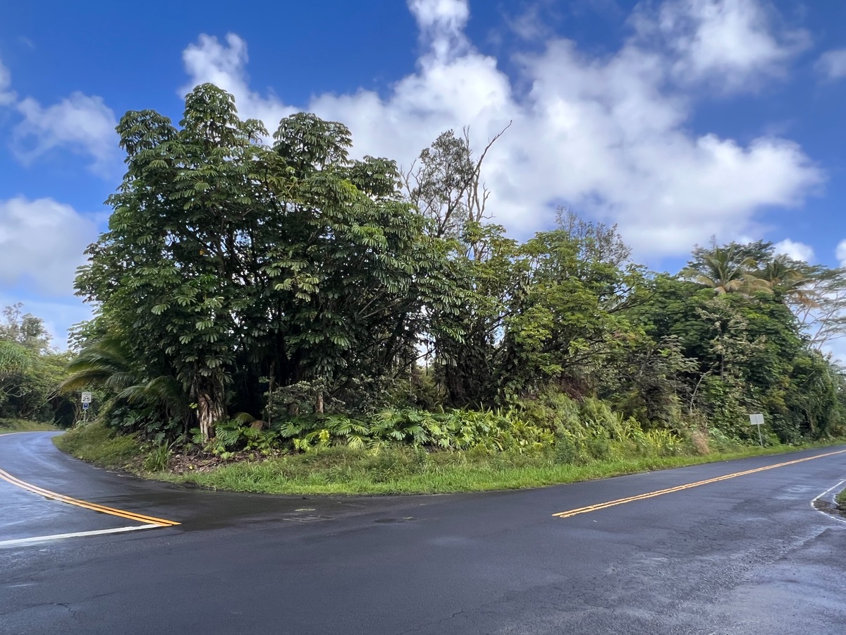 Big Island Listing Image