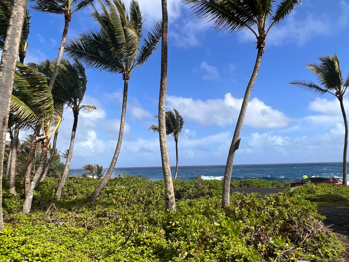 Big Island Listing Image