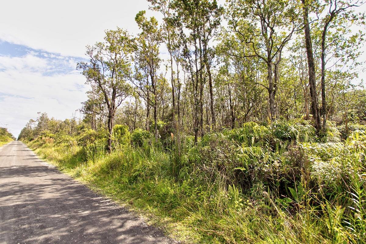 11-2123 KOKOKAHI RD VOLCANO HI 96785