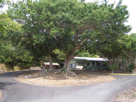 MLS No. 232431 - North Kona House For Sale
