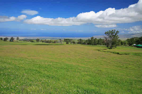 MLS 241231 | 67-1035 KEAMUKU ROAD, Waiki'i Ranch - South Kohala, Hawaii MLS 241231 | 67-1035 KEAMUKU ROAD, Waiki'i Ranch - South Kohala, Hawaii
