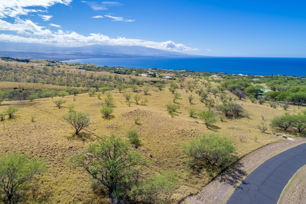 Big Island Listing Image