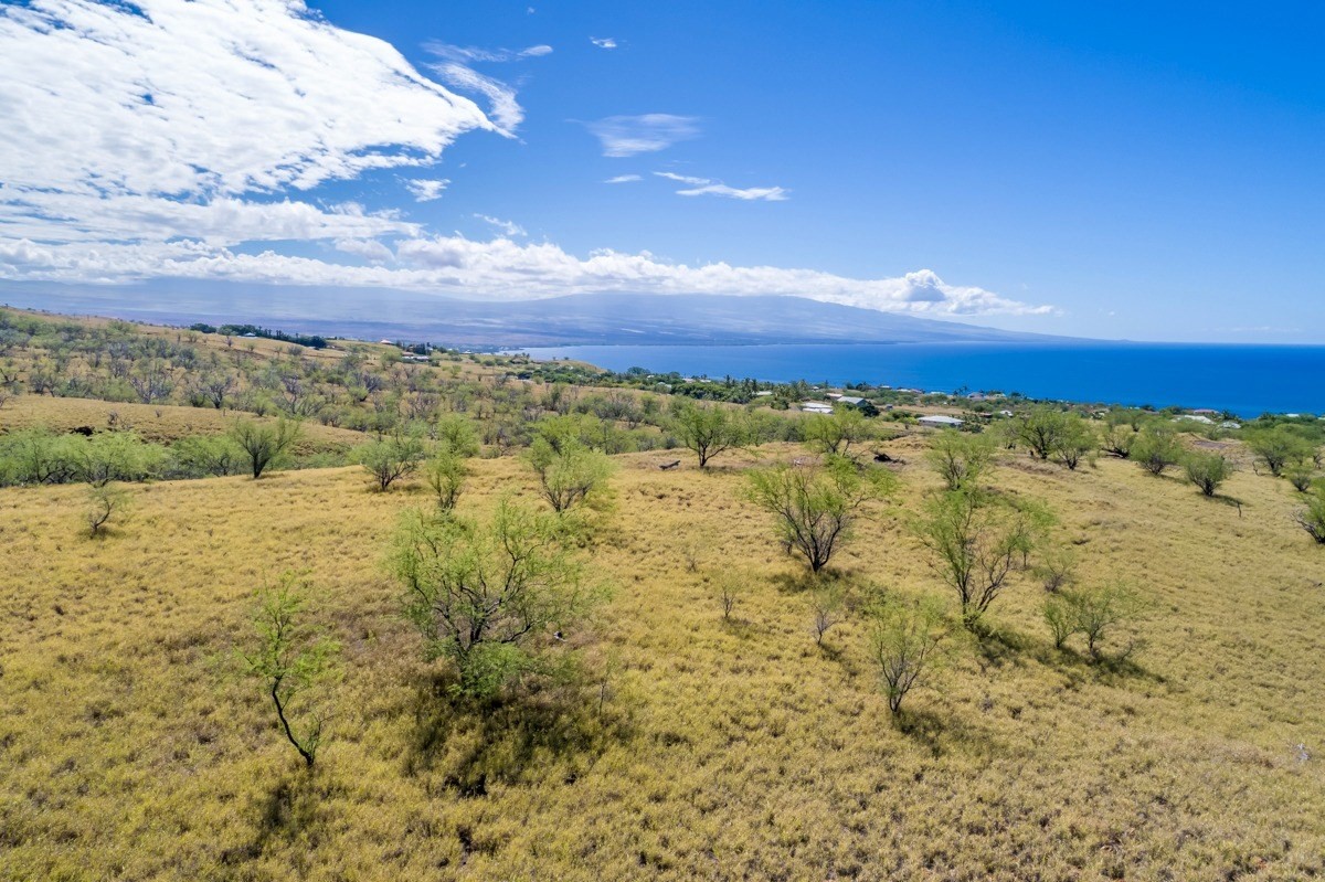 Big Island Listing Image