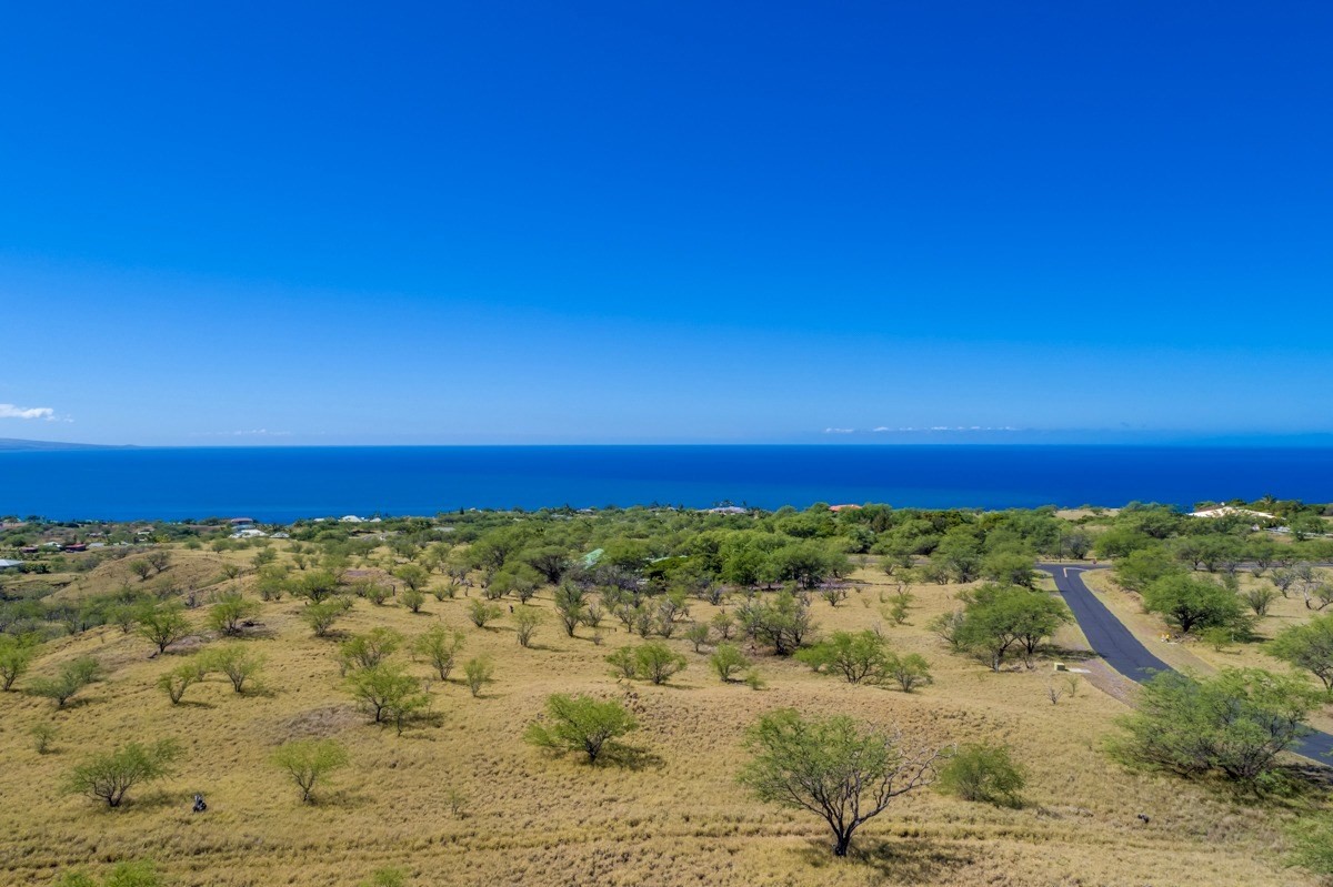 Big Island Listing Image