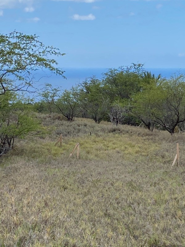 Big Island Listing Image