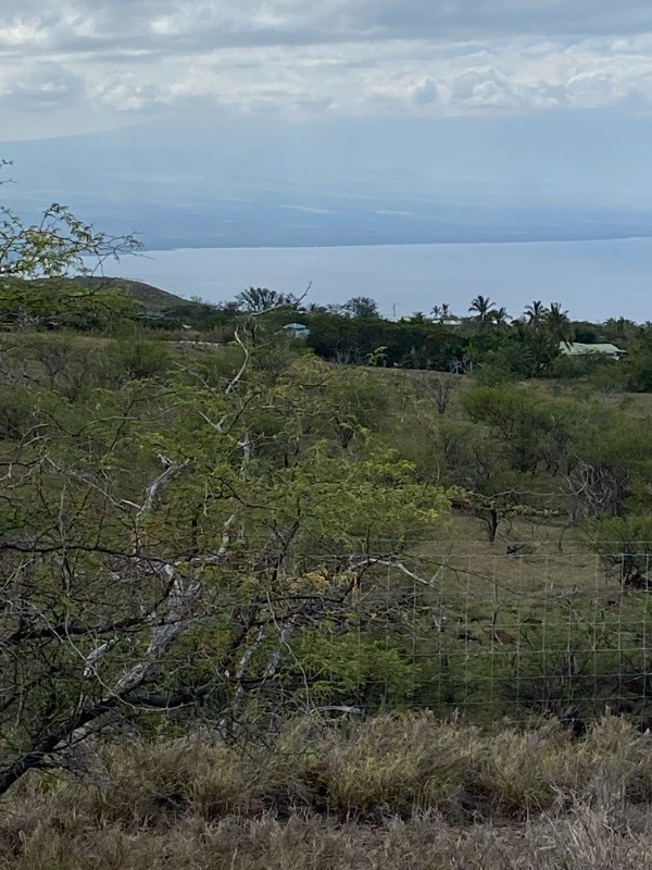 Big Island Listing Image