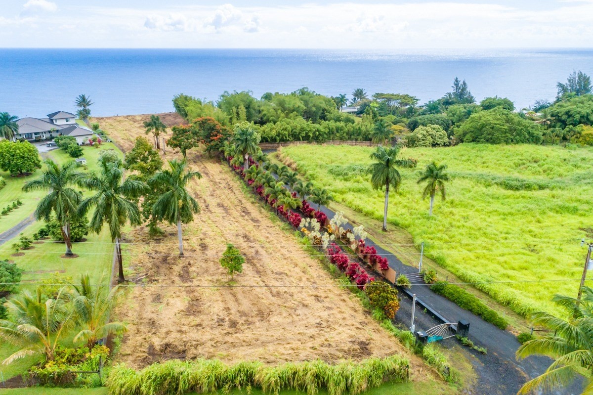 Big Island Listing Image