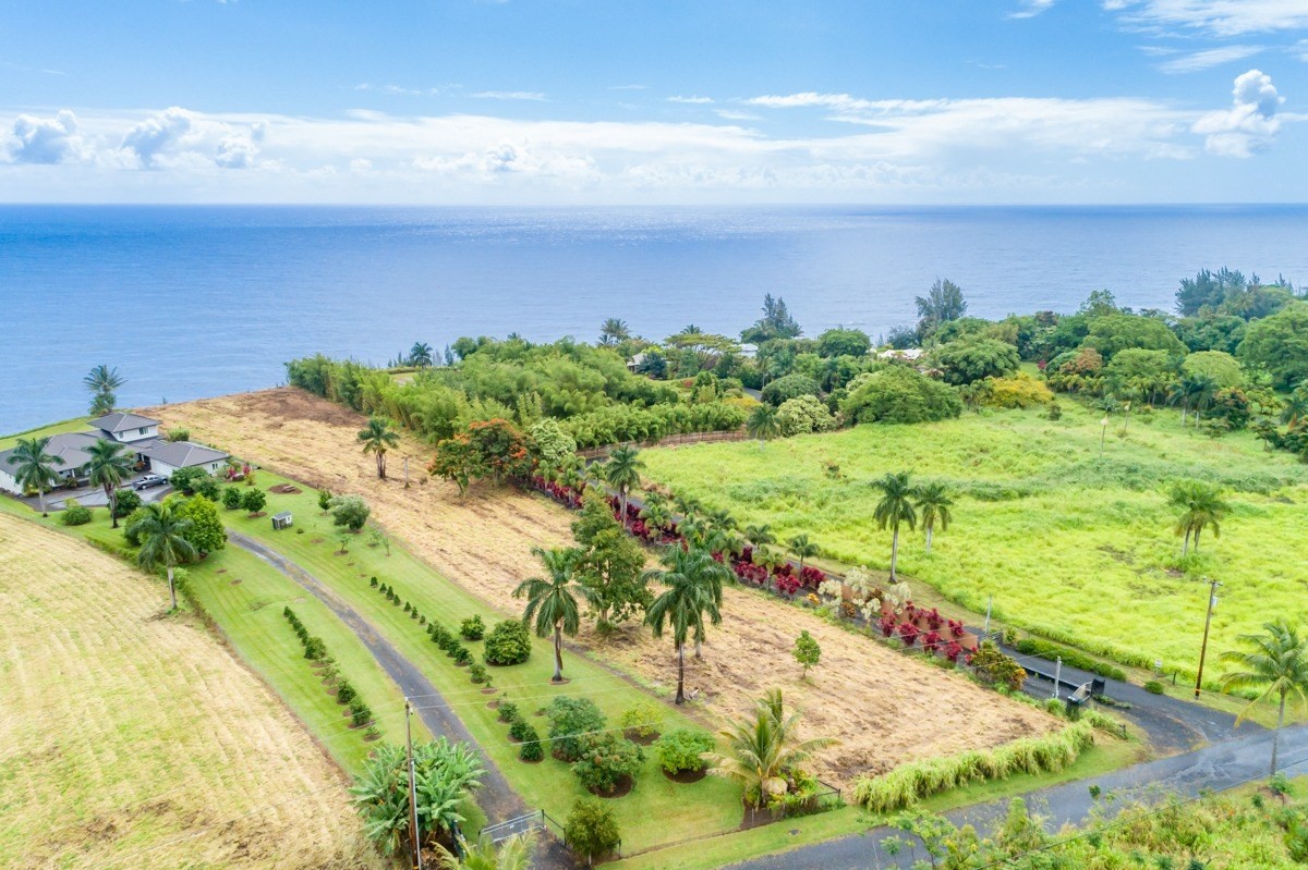 Big Island Listing Image