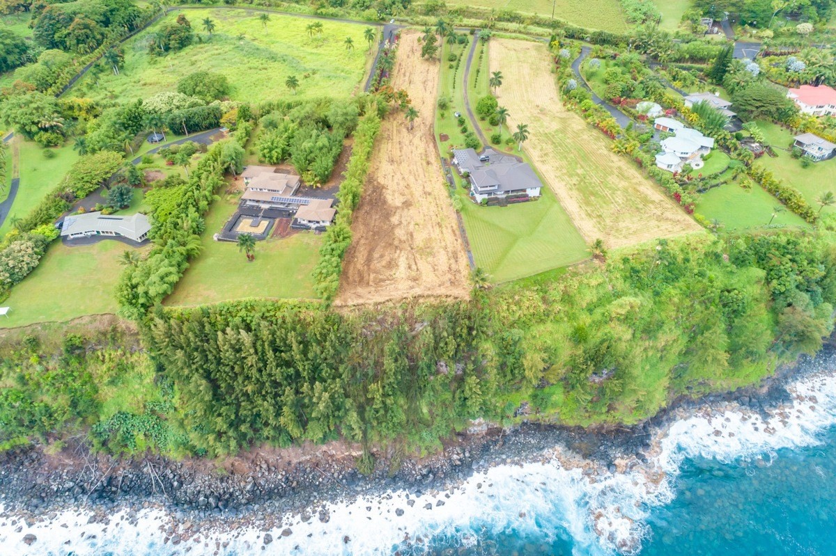 Big Island Listing Image