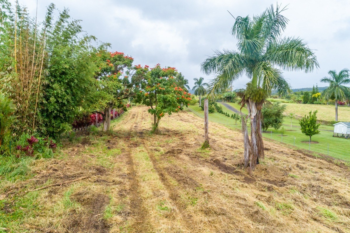 Big Island Listing Image