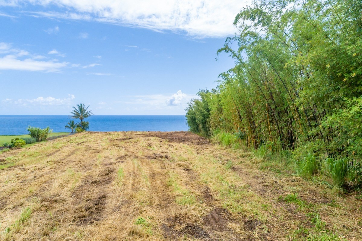 Big Island Listing Image