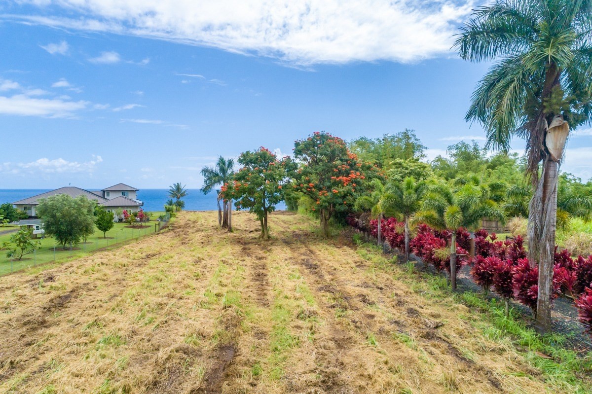 Big Island Listing Image