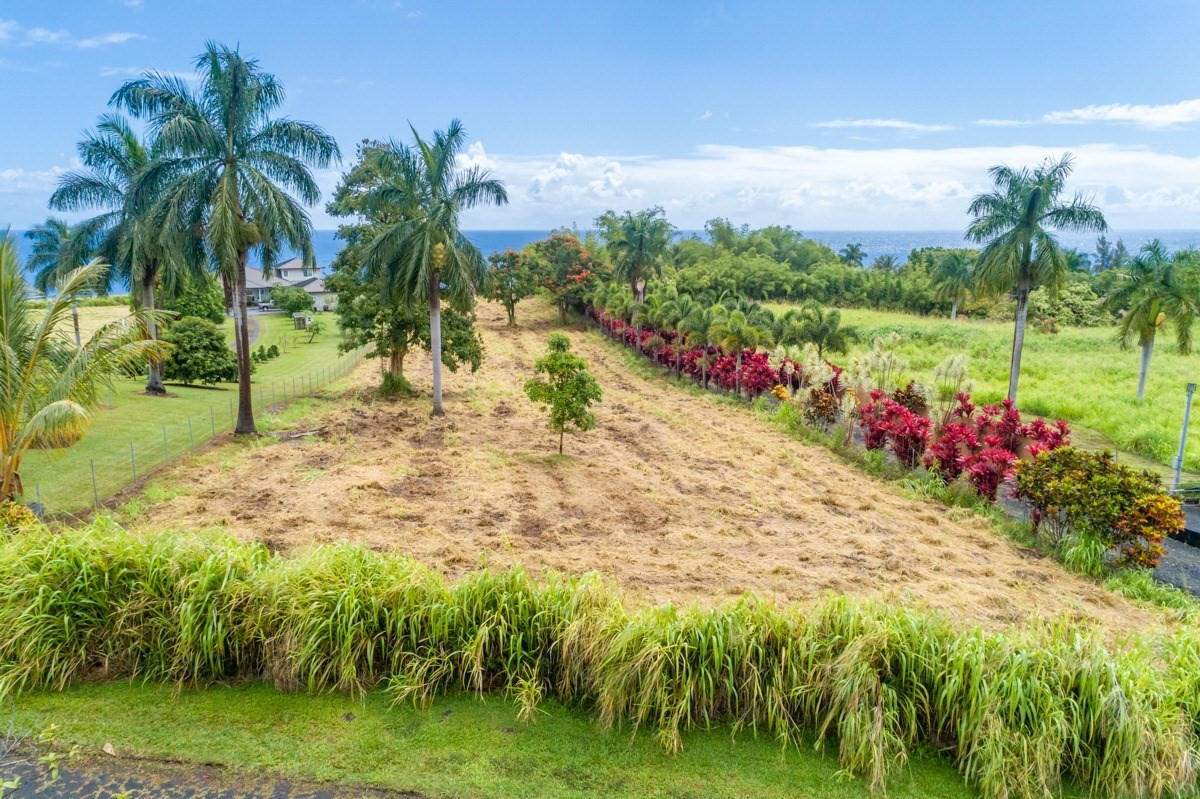 Big Island Listing Image