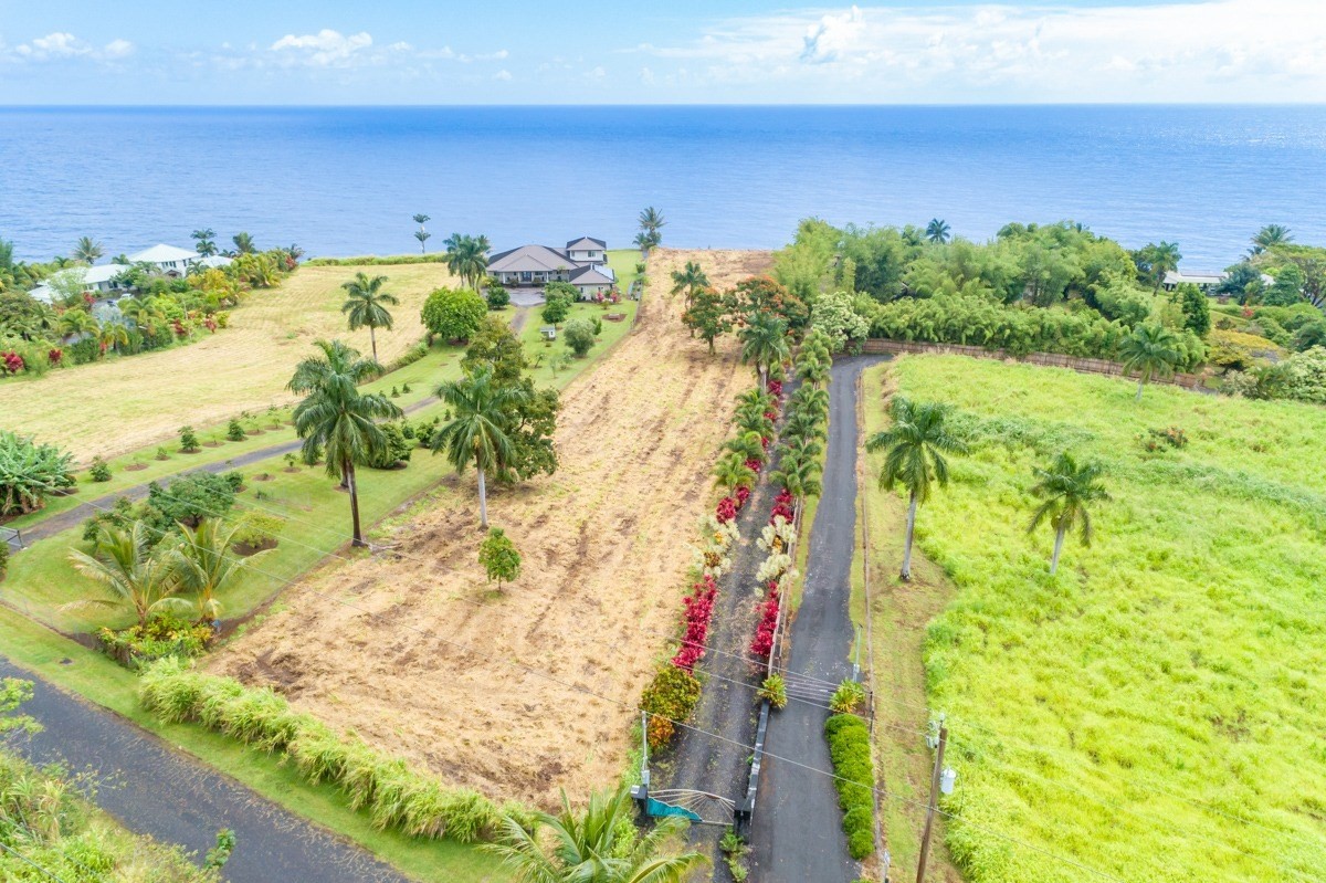 Big Island Listing Image