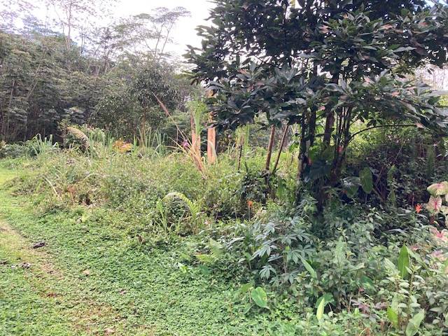 LEHUA RD PAHOA HI 96778