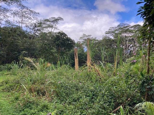 LEHUA RD PAHOA HI 96778