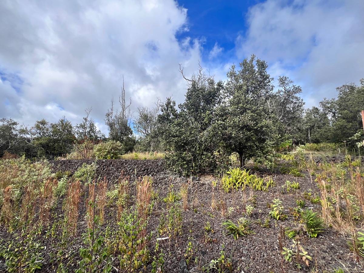 ALOHA BLVD OCEAN VIEW HI 96737