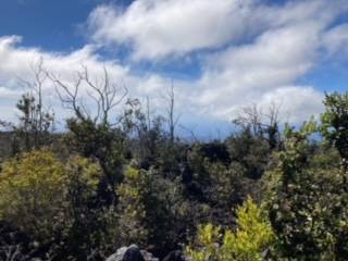 92-2734 ANUENUE DR OCEAN VIEW HI 96737