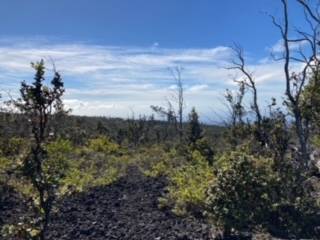 92-2734 ANUENUE DR OCEAN VIEW HI 96737