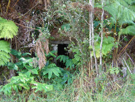 194282 HAUNANI RD, VOLCANO, HI, 96785, USA