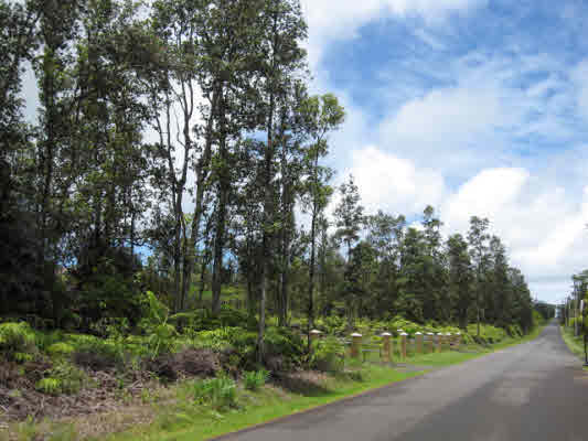 1 Acre Lot on Paved Road, Leilani Estates, Puna, Big Island of Hawaii