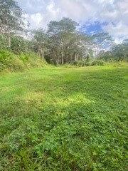 14-3332 LEHUA RD PAHOA HI 96778