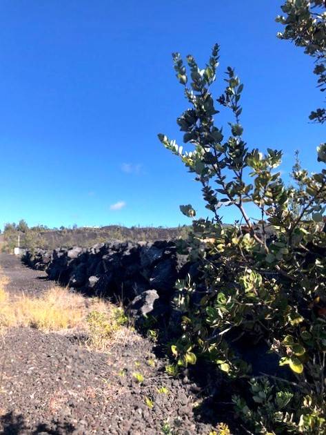 GINGER BLOSSOM LN #na OCEAN VIEW HI 96737