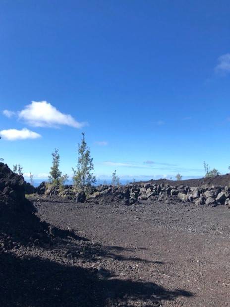 GINGER BLOSSOM LN #na OCEAN VIEW HI 96737