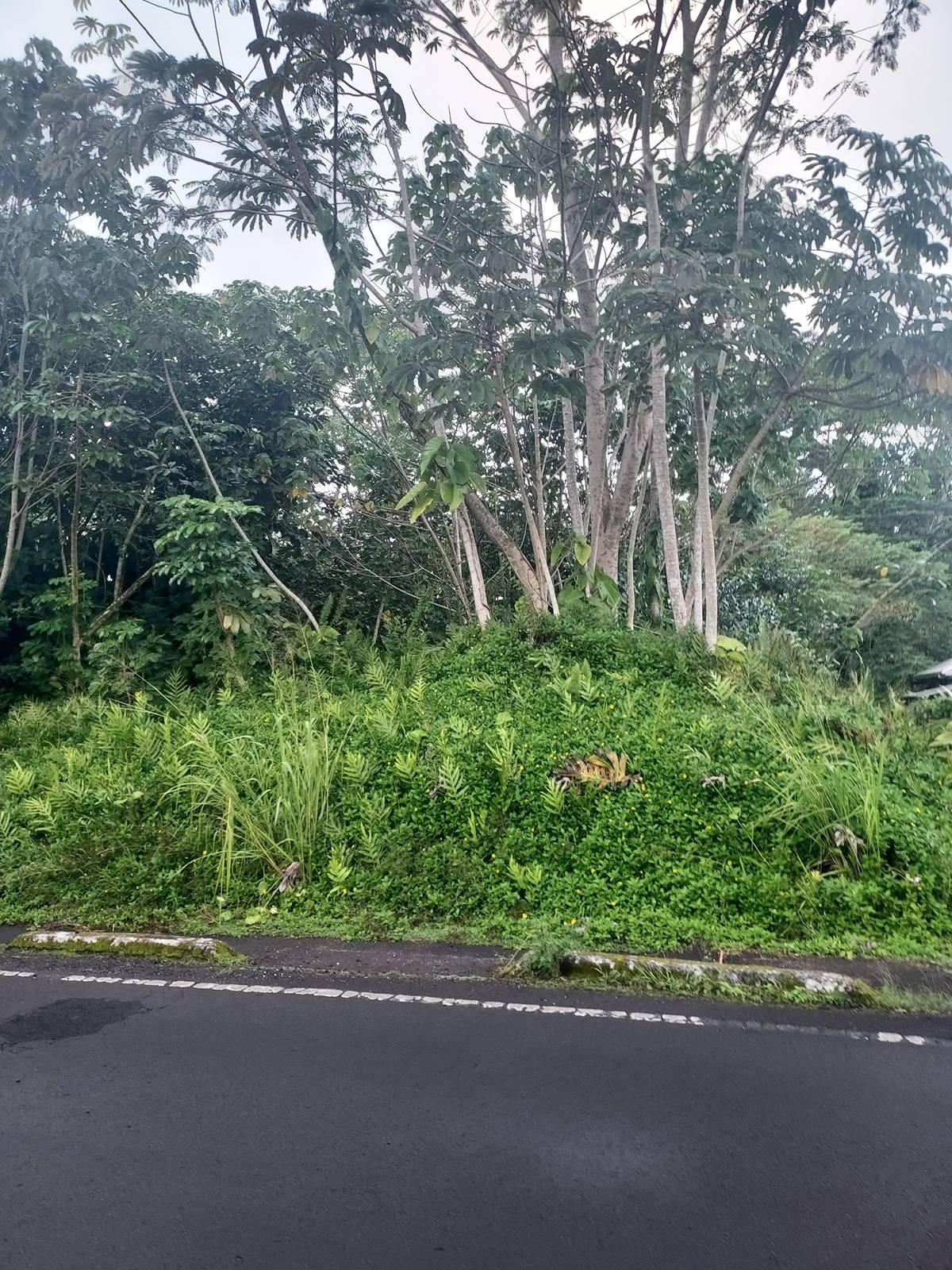 15-714 KAHAKAI BLVD PAHOA HI 96778