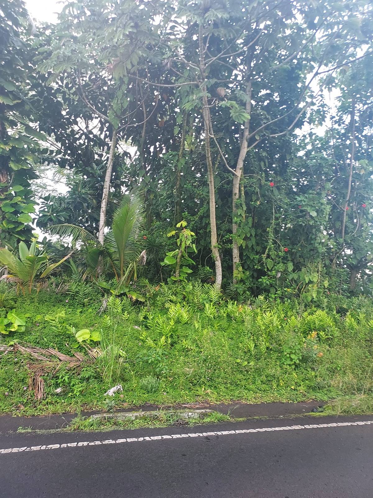 15-714 KAHAKAI BLVD PAHOA HI 96778
