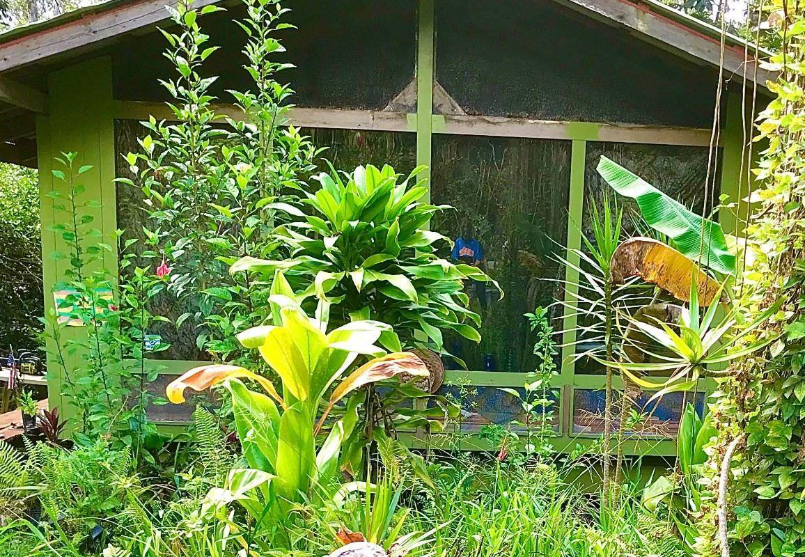 12-4275 PUNA ST PAHOA HI 96778