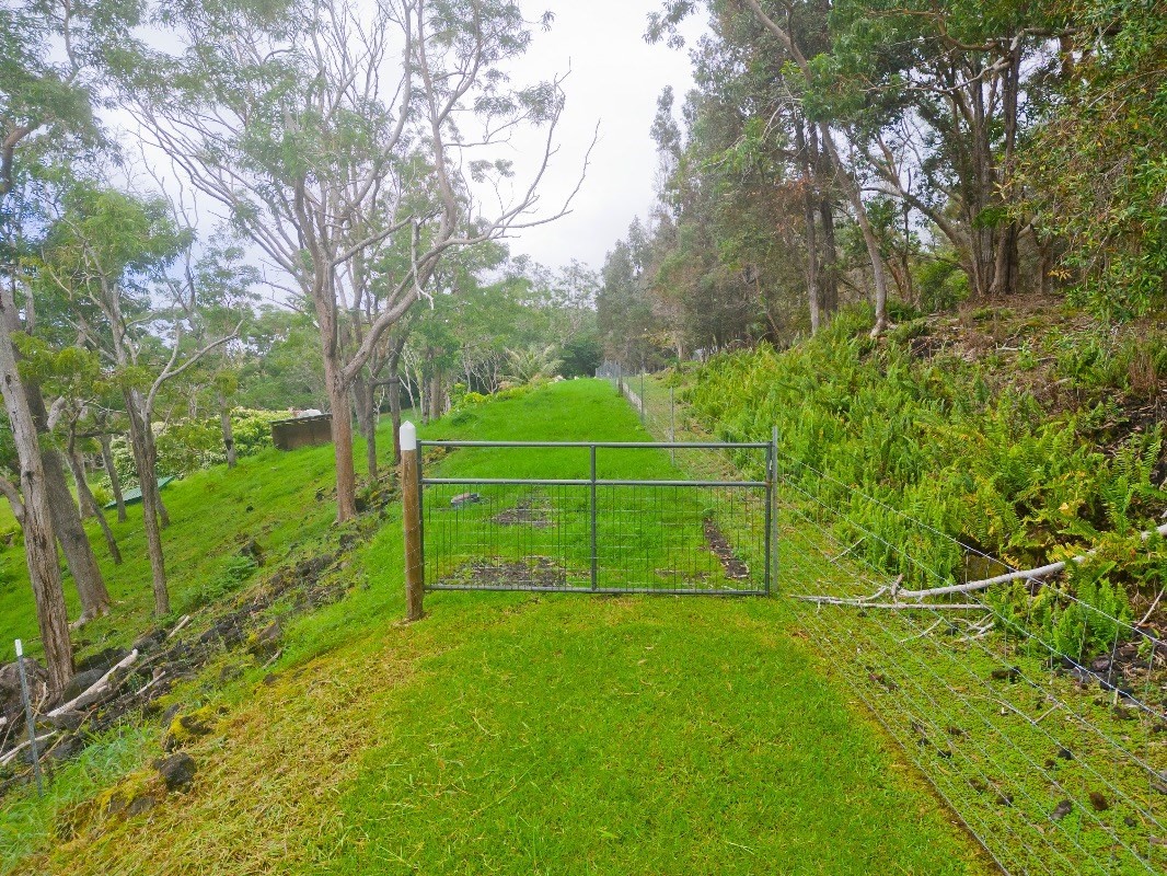 Big Island Listing Image