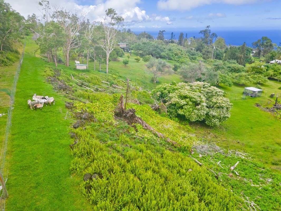 Big Island Listing Image