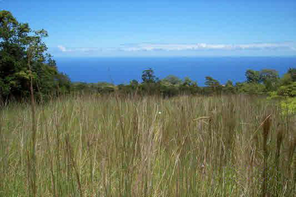 Laupahoehoe Homesteads