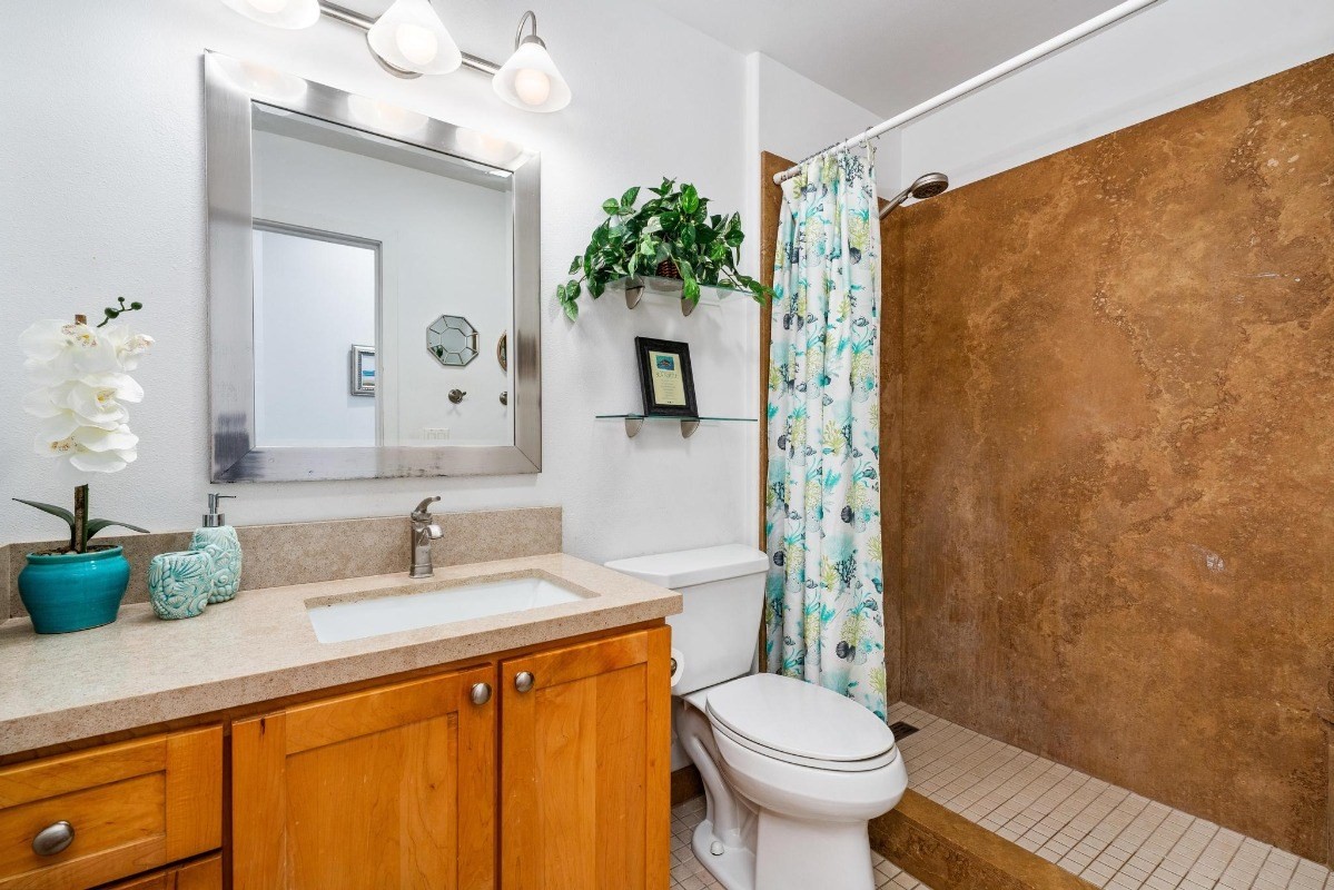 Big Island Listing Image