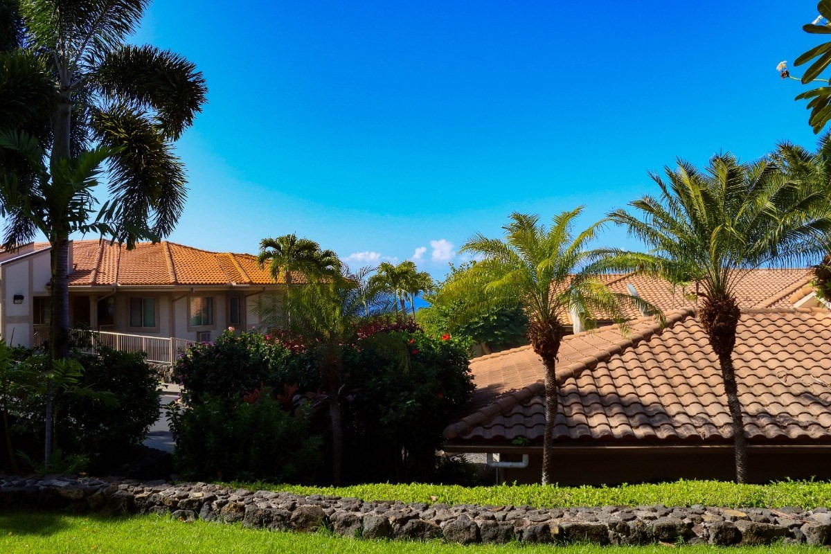 Big Island Listing Image