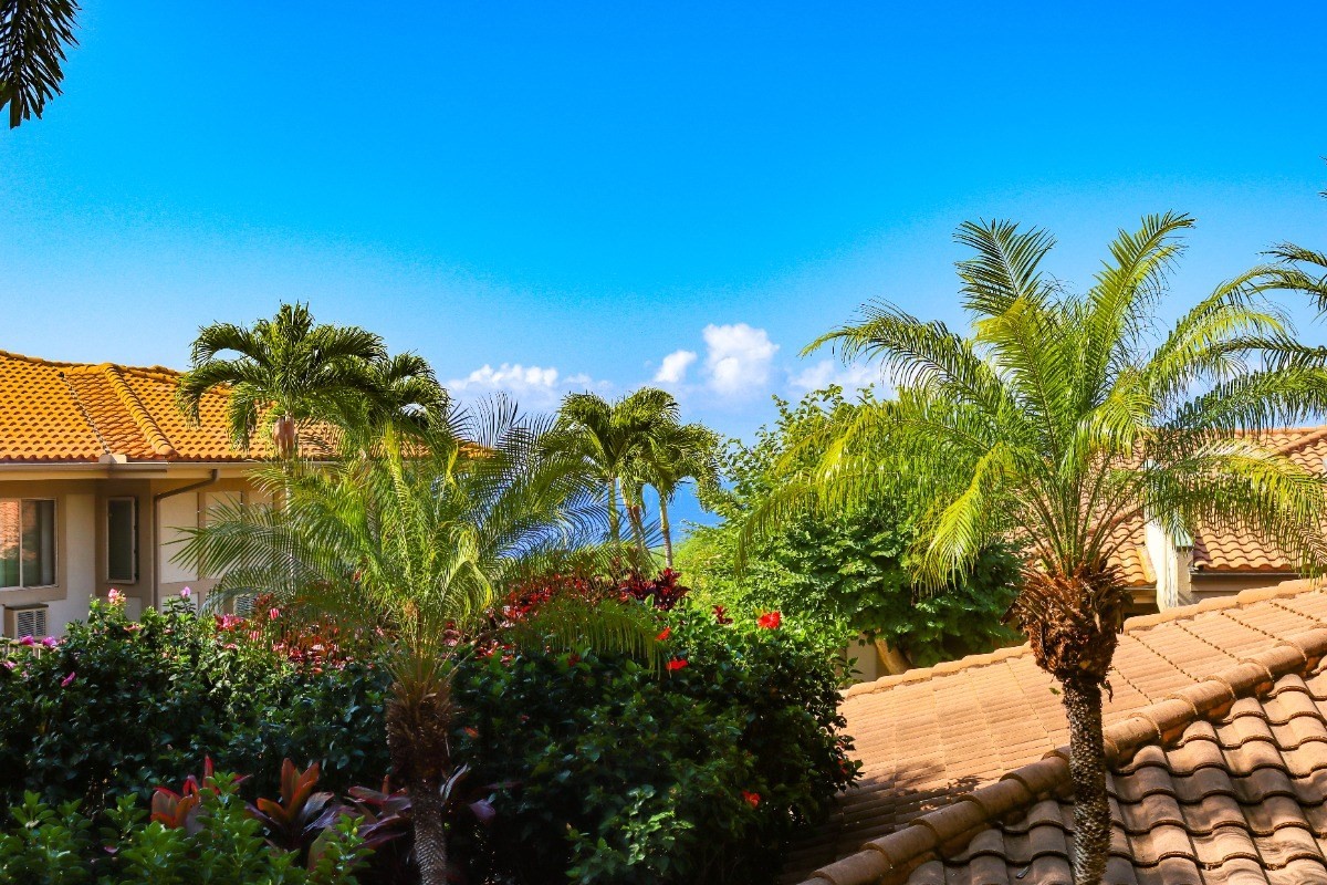 Big Island Listing Image