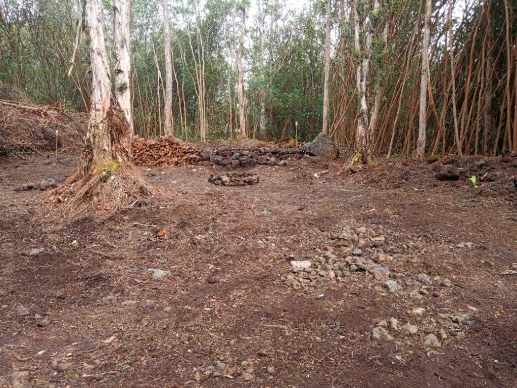 12-550 MOLOKAI ST PAHOA HI 96778