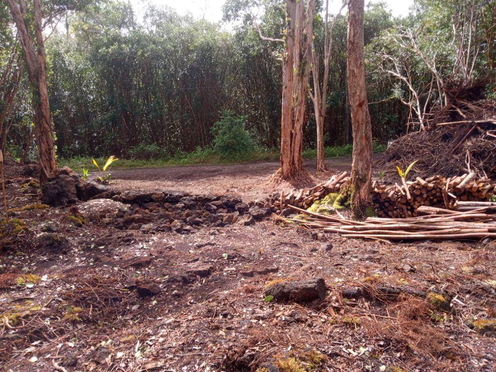 12-550 MOLOKAI ST PAHOA HI 96778