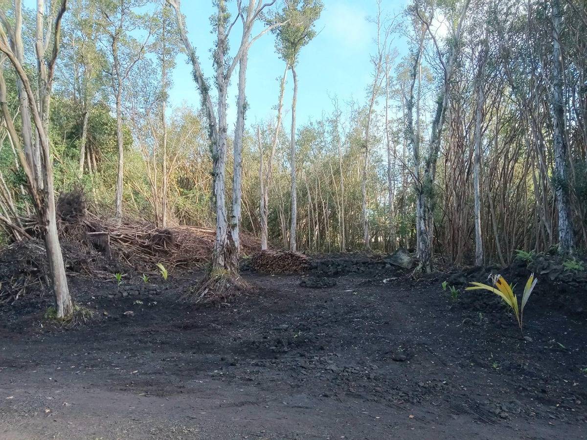 12-550 MOLOKAI ST PAHOA HI 96778