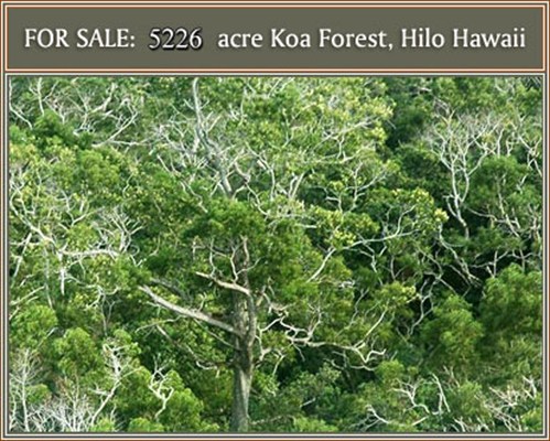 , Hilo, HI 96720
