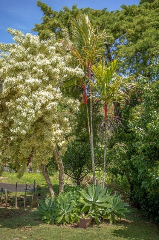 Big Island Listing Image