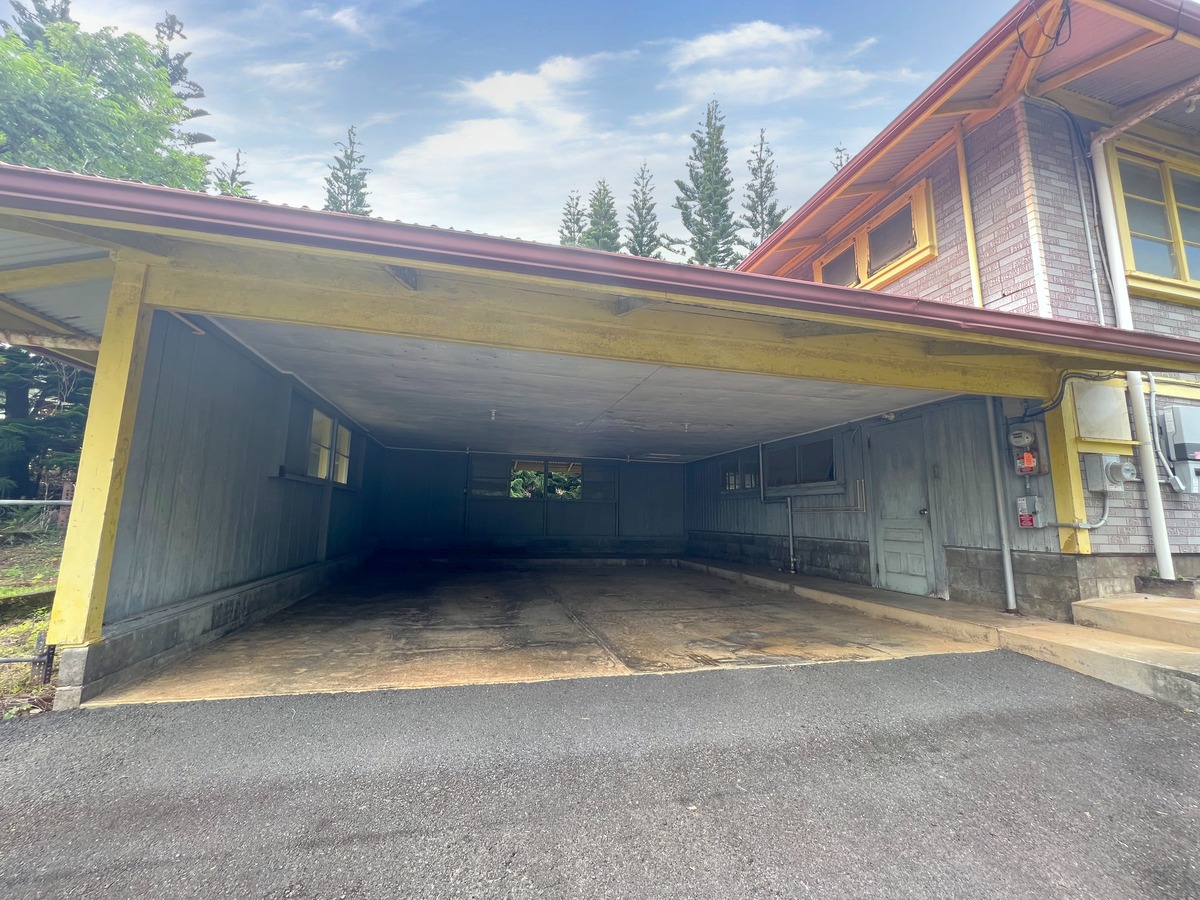 Big Island Listing Image