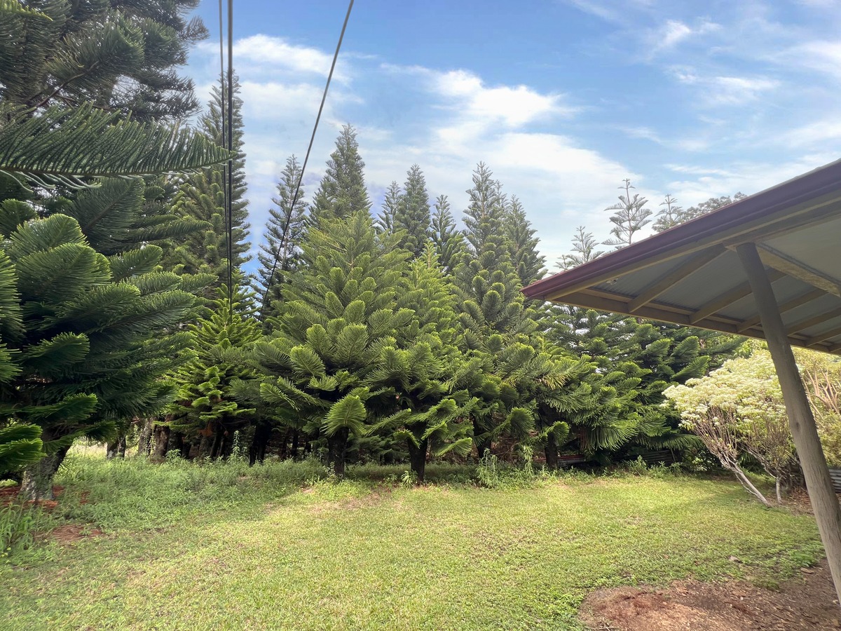 Big Island Listing Image