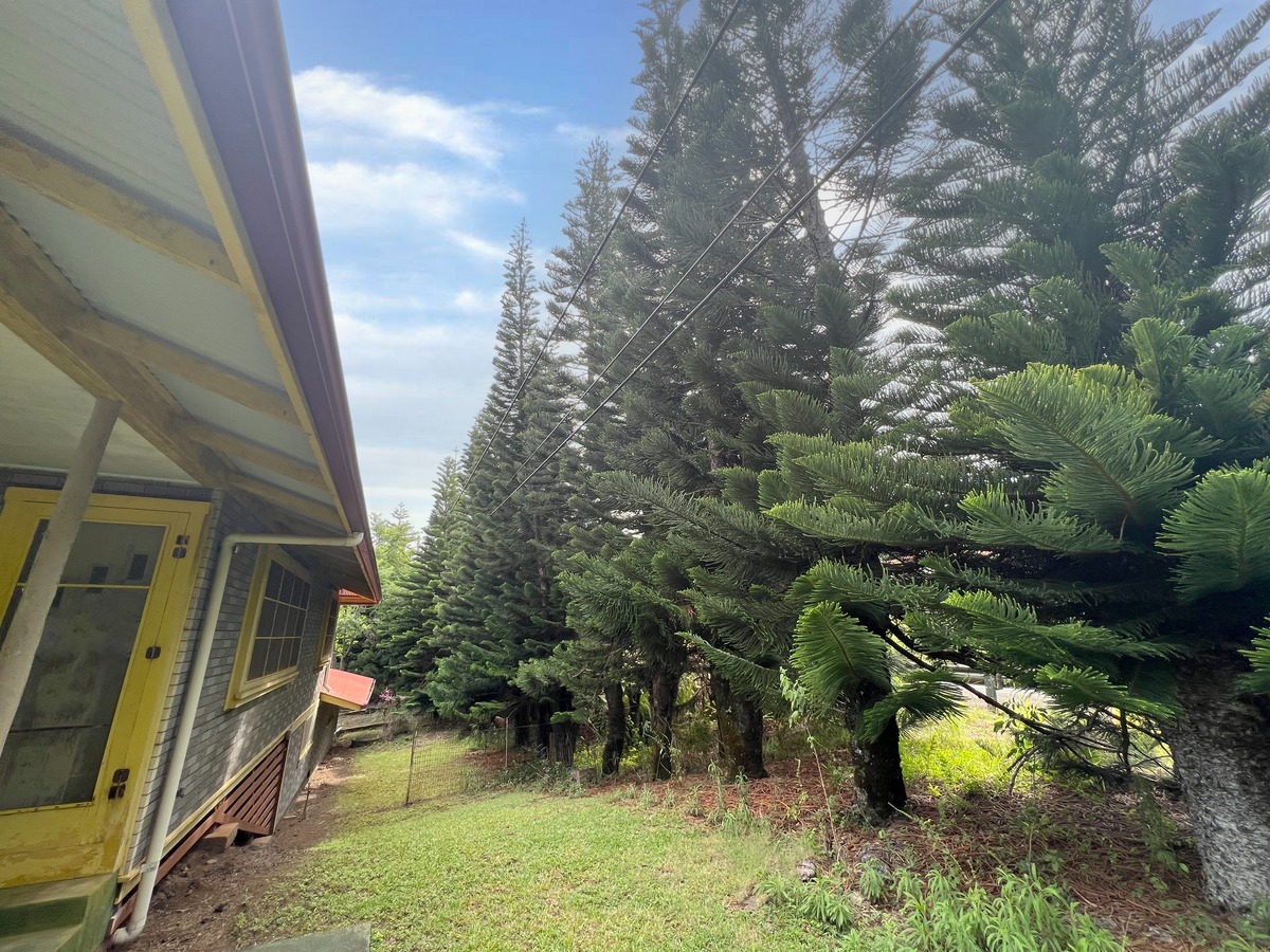 Big Island Listing Image