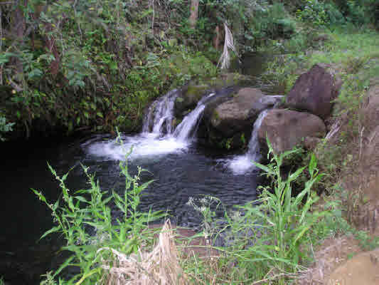 270629 OLD ONOMEA RD, PAPAIKOU, HI, 96781, USA