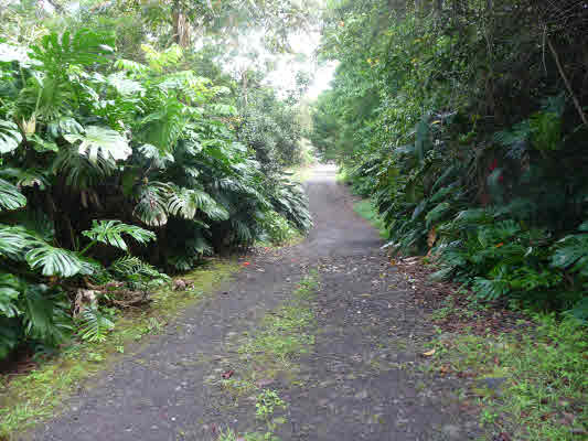 MLS No. 225737 - North Kona House For Sale